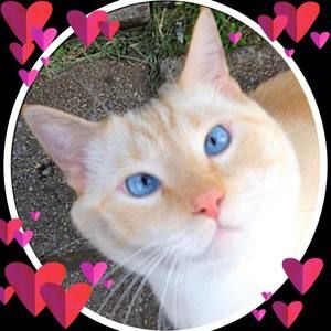 Meet your Posher, Sheri